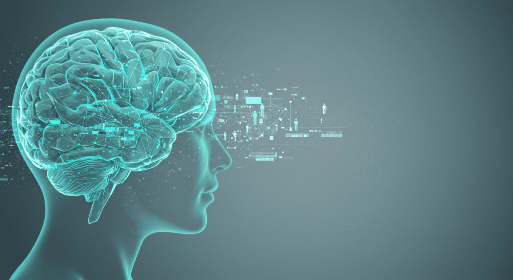 "AI 시대 정보 관리를 위한 개인 지식 베이스(세컨드 브레인)를 시각화한 뇌와 네트워크 연결 이미지"